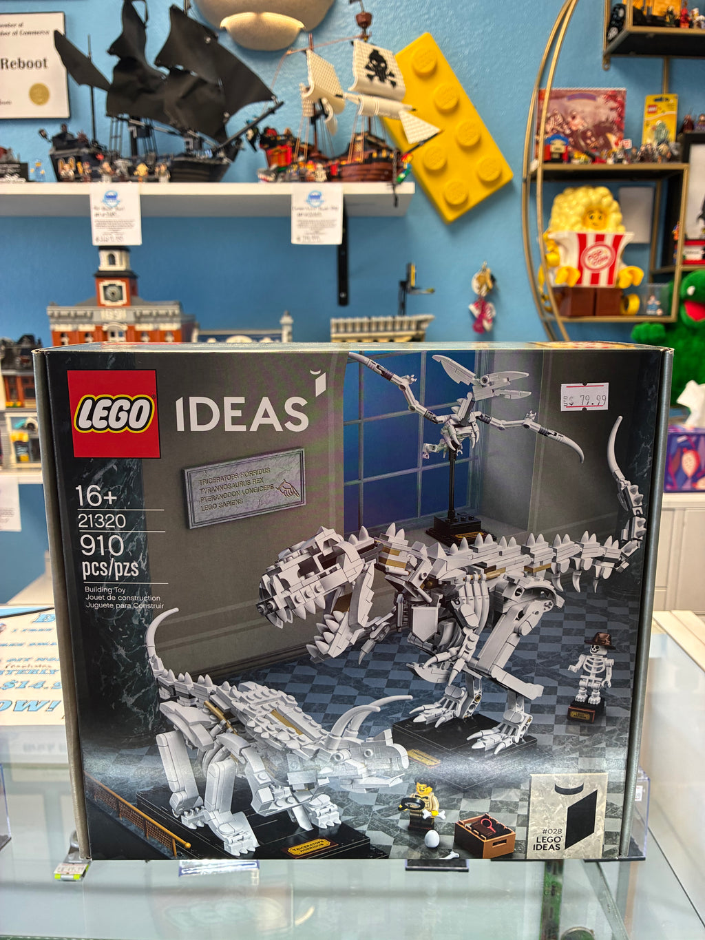 21320 Dinosaur Fossils - Sealed