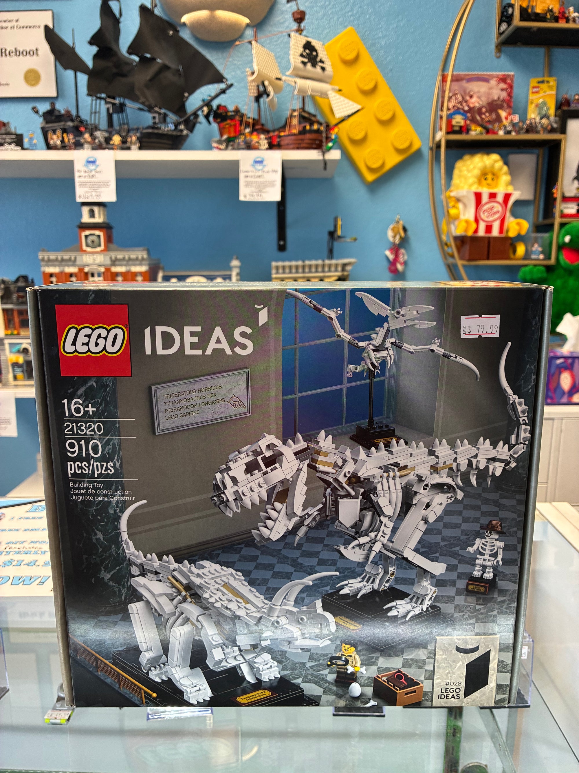 21320 Dinosaur Fossils - Sealed
