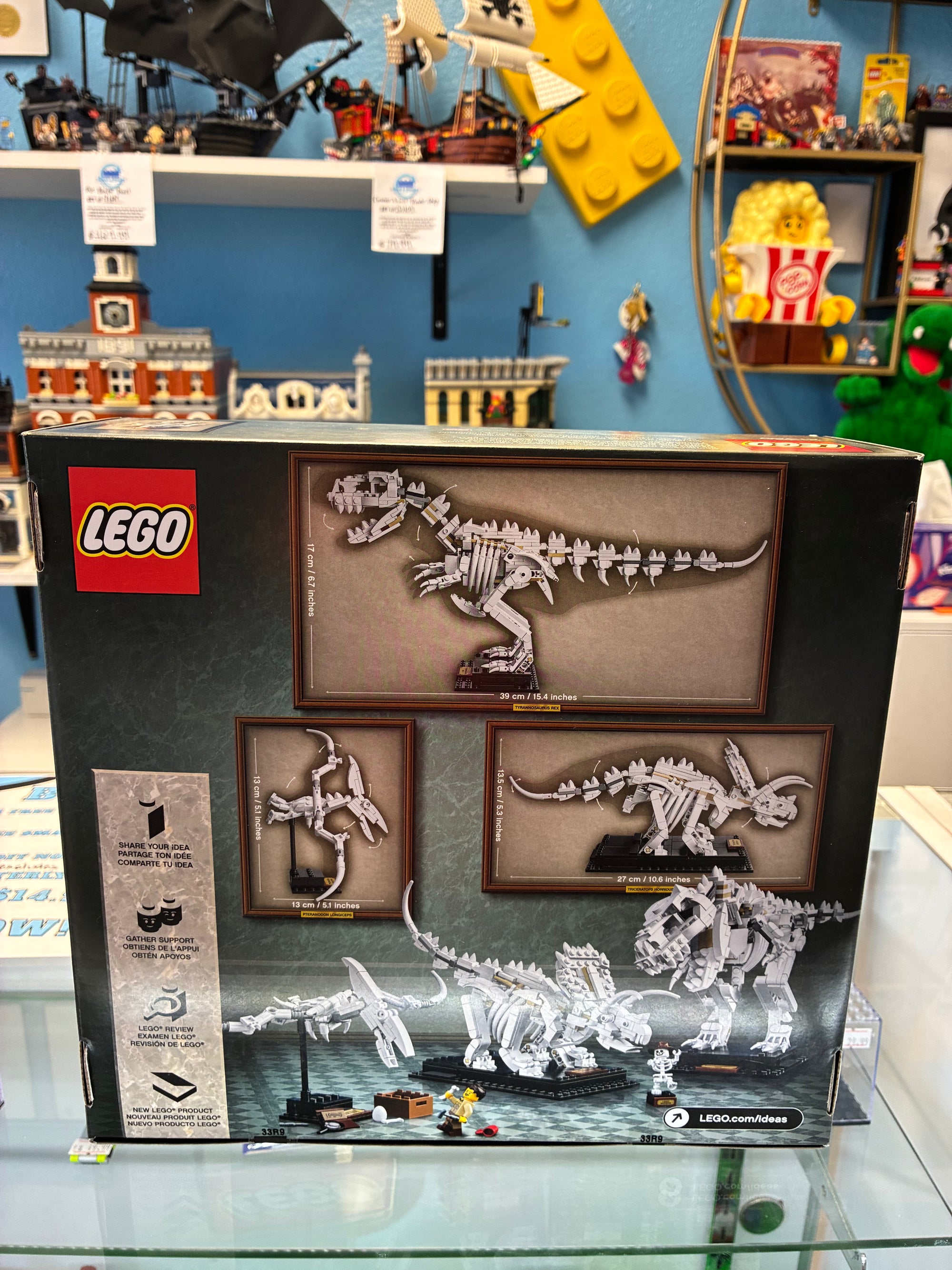 21320 Dinosaur Fossils - Sealed