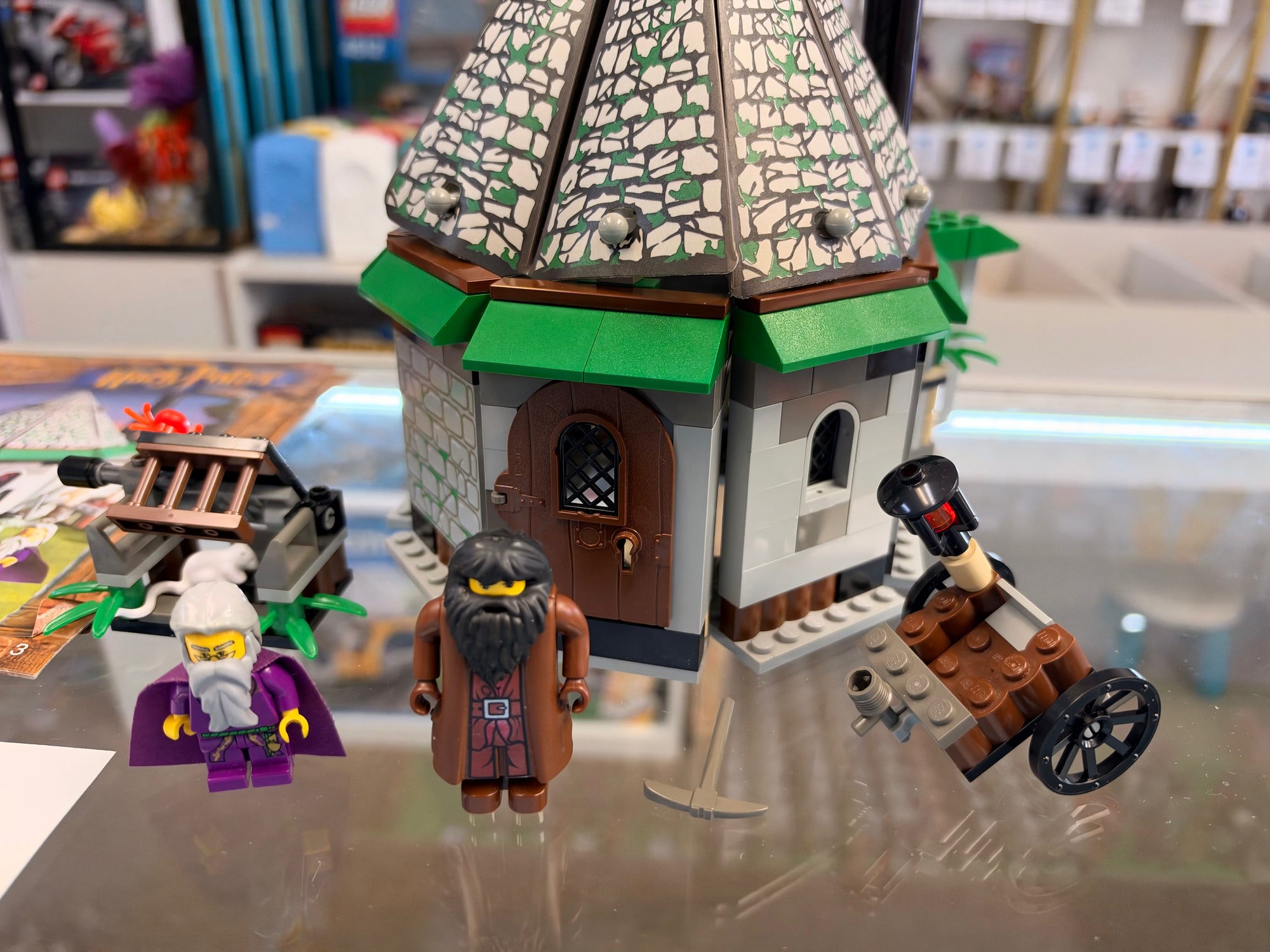 4707 Hagrid’s Hut - Used
