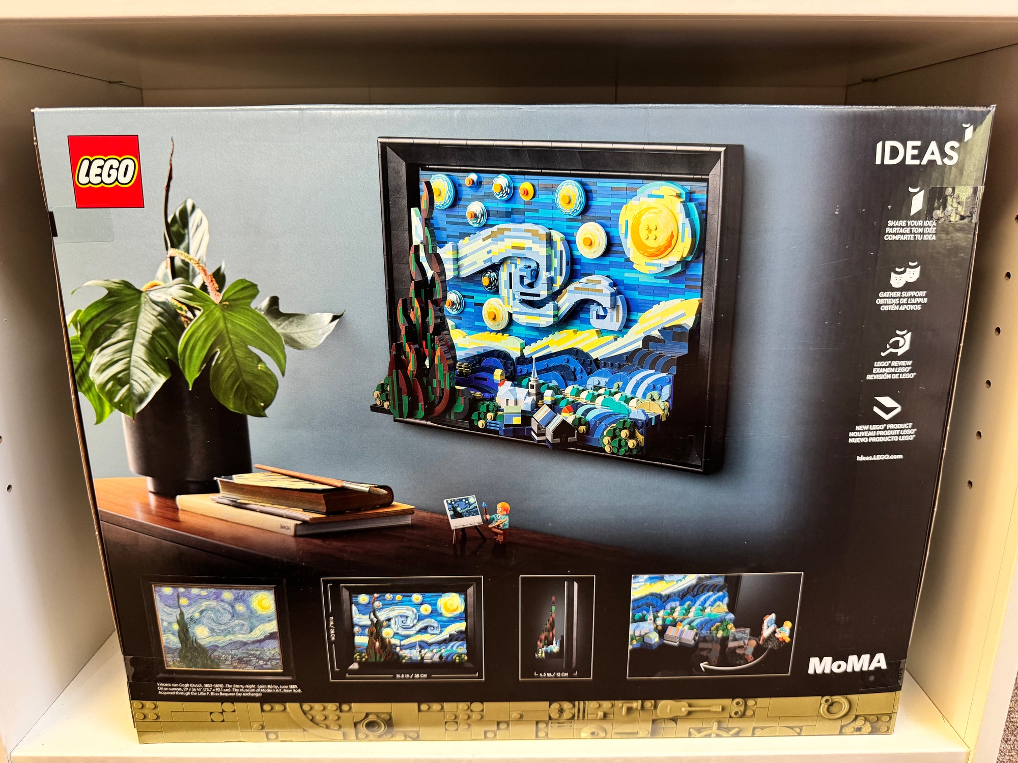 21333 The Starry Night